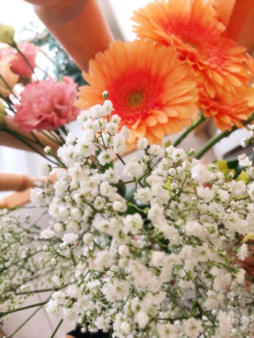 Gerberas &amp; Schleierkraut