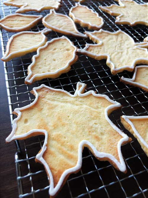 Foto 30.09.18, 14 08 37