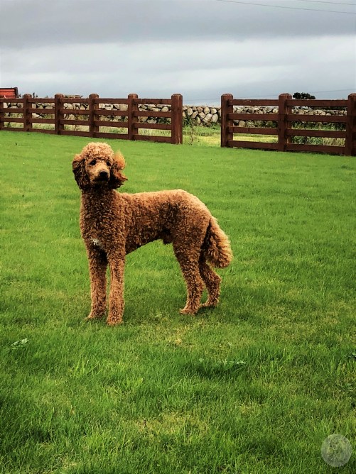 Foto 08.10.18, 10 37 39