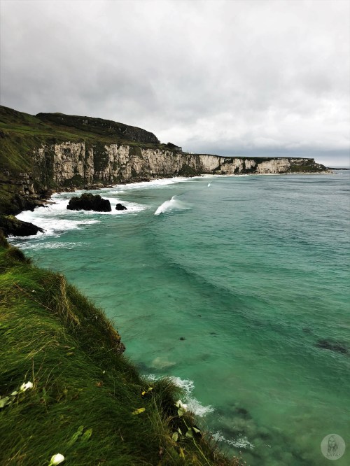 Foto 08.10.18, 18 31 03