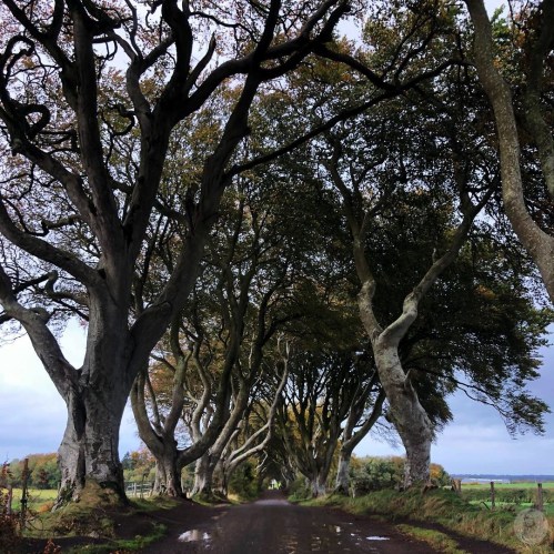 Foto 09.10.18, 10 00 19