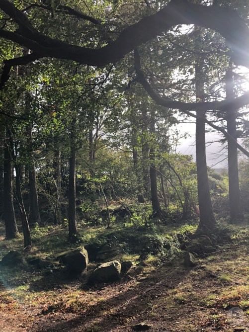 Foto 09.10.18, 12 07 22