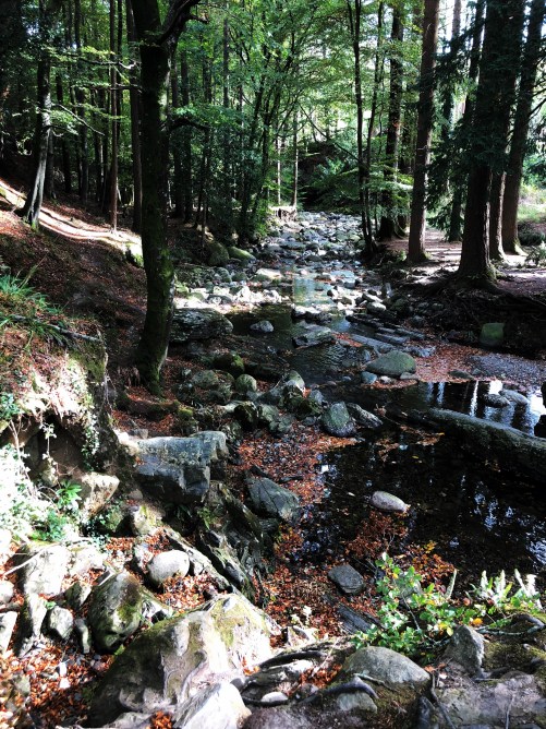 Foto 09.10.18, 13 33 06