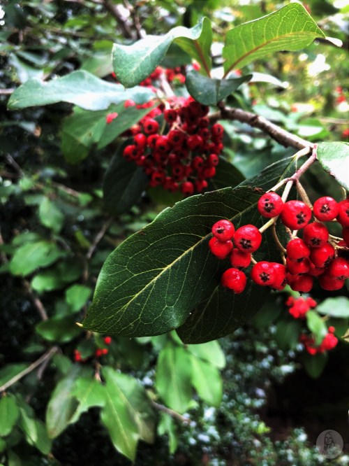 Foto 09.10.18, 13 34 34