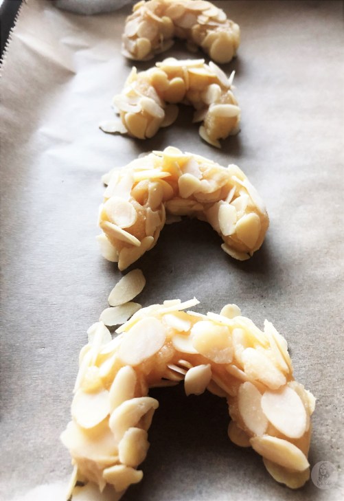 Foto 04.12.18, 16 00 52