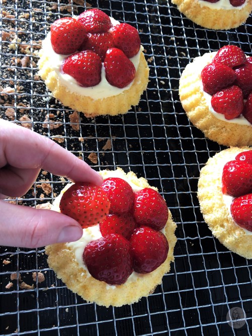 Foto 08.06.19, 16 31 55