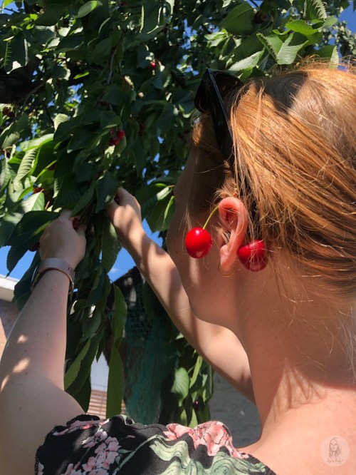 Foto 23.06.19, 16 18 22