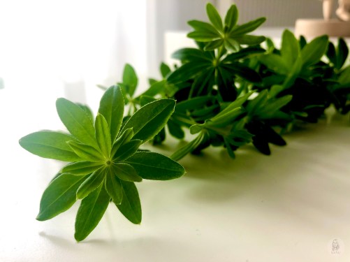 Foto 22.06.20, 19 31 41