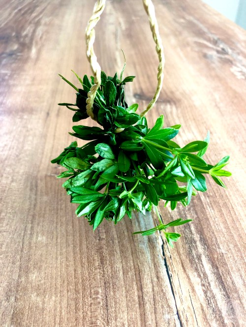 Foto 24.06.20, 17 10 06